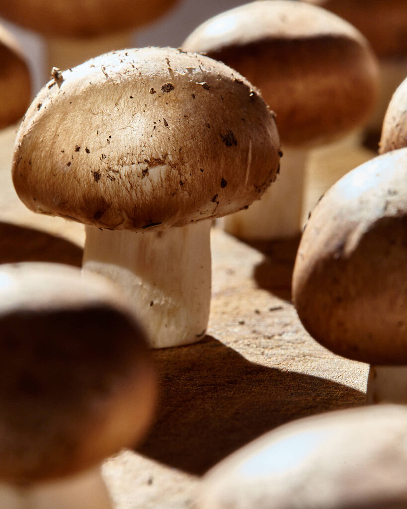 Mushrooms-3727-1.jpg
